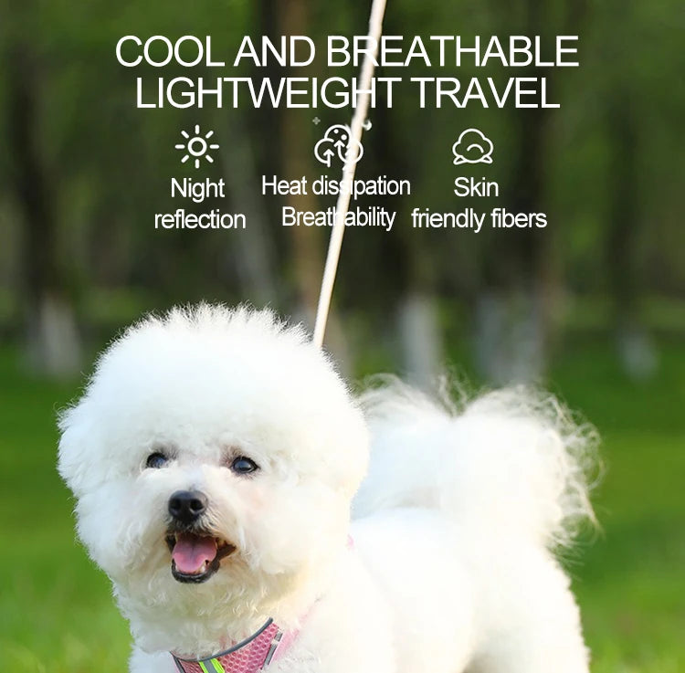 Dog Harness Small Breed Harness for A Small Dog Large Dog Harness Harnait Chest GXQ03