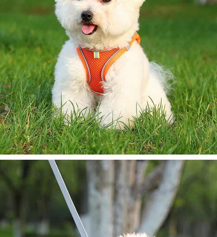 Dog Harness Small Breed Harness for A Small Dog Large Dog Harness Harnait Chest GXQ03