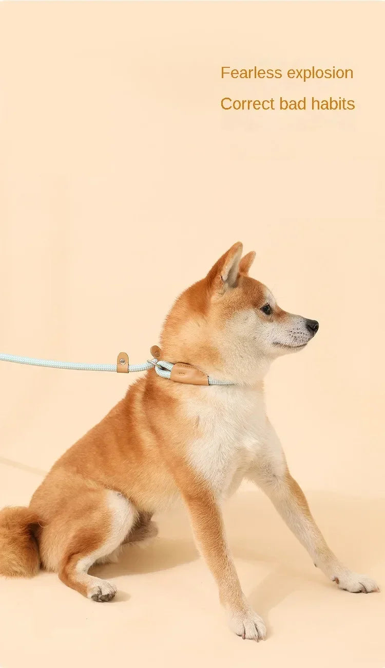 Adjustable Collar Harness Dog Leash Nylon Pet Lead Leash Dog Harness Durable Rope Belt Lightweight Dog Accessories Cat Collar