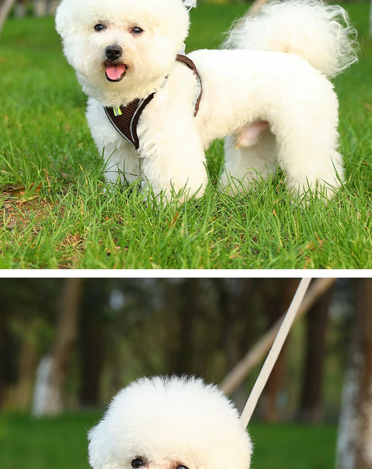 Dog Harness Small Breed Harness for A Small Dog Large Dog Harness Harnait Chest GXQ03