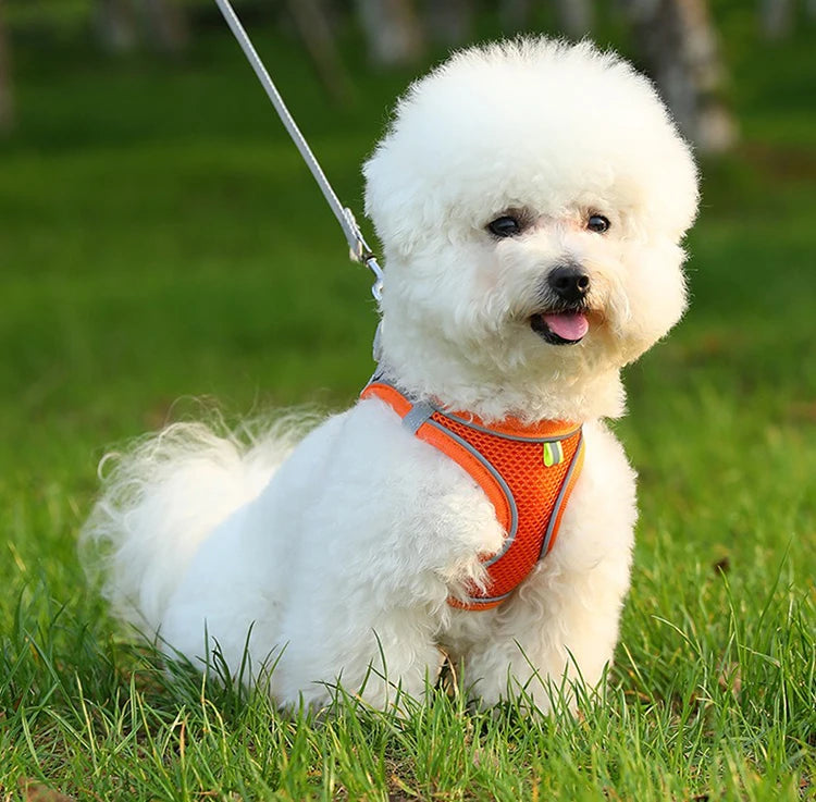 Dog Harness Small Breed Harness for A Small Dog Large Dog Harness Harnait Chest GXQ03