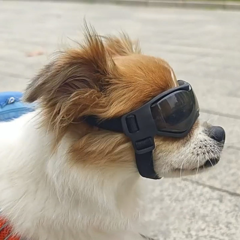 Dog Summer Sunglasses Soft Windproof Anti-UV with Adjustable Strap for Outdoor Sports Goggles for Heavy Snow Dropshipping