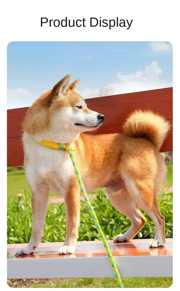 Adjustable Collar Harness Dog Leash Nylon Pet Lead Leash Dog Harness Durable Rope Belt Lightweight Dog Accessories Cat Collar