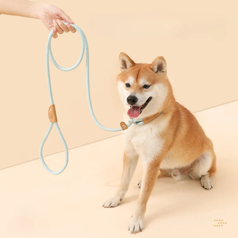 Adjustable Collar Harness Dog Leash Nylon Pet Lead Leash Dog Harness Durable Rope Belt Lightweight Dog Accessories Cat Collar