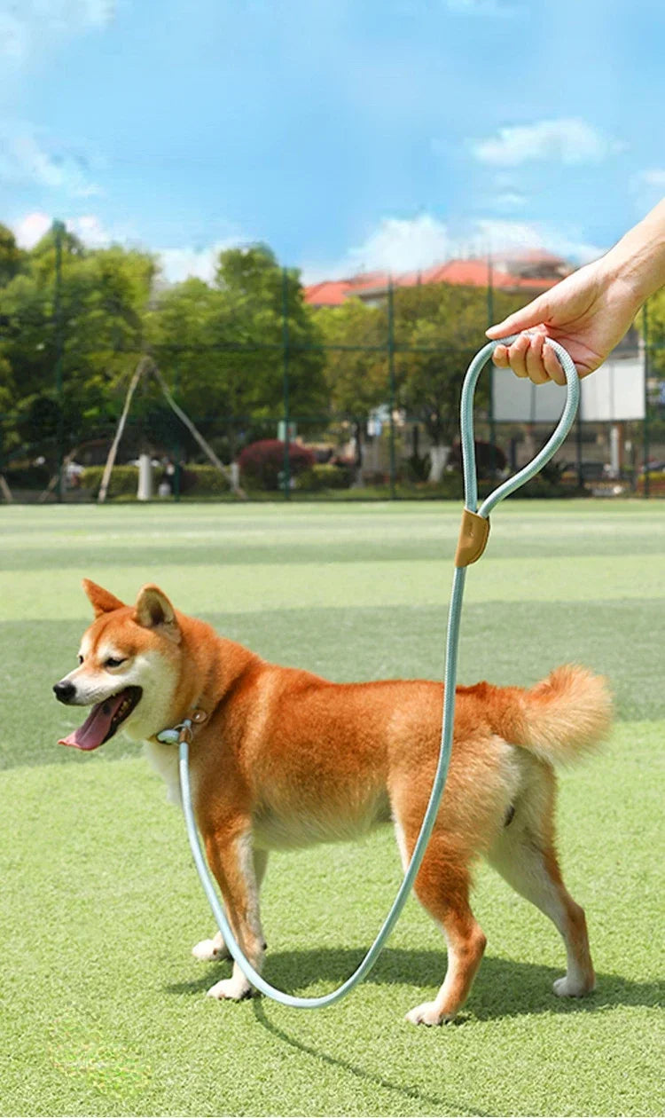 Adjustable Collar Harness Dog Leash Nylon Pet Lead Leash Dog Harness Durable Rope Belt Lightweight Dog Accessories Cat Collar