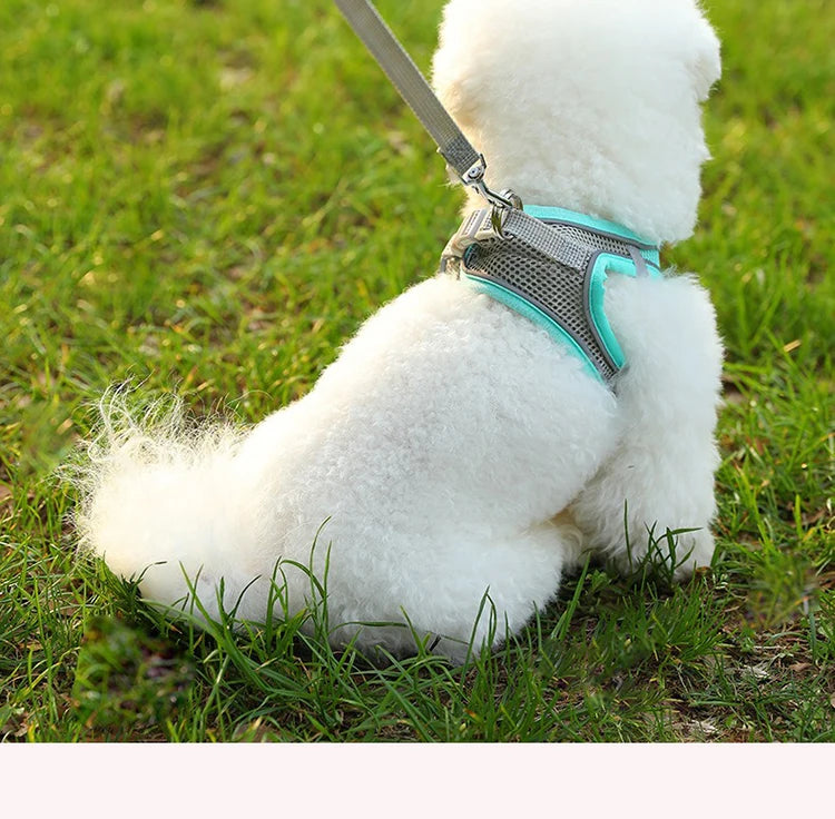 Dog Harness Small Breed Harness for A Small Dog Large Dog Harness Harnait Chest GXQ03