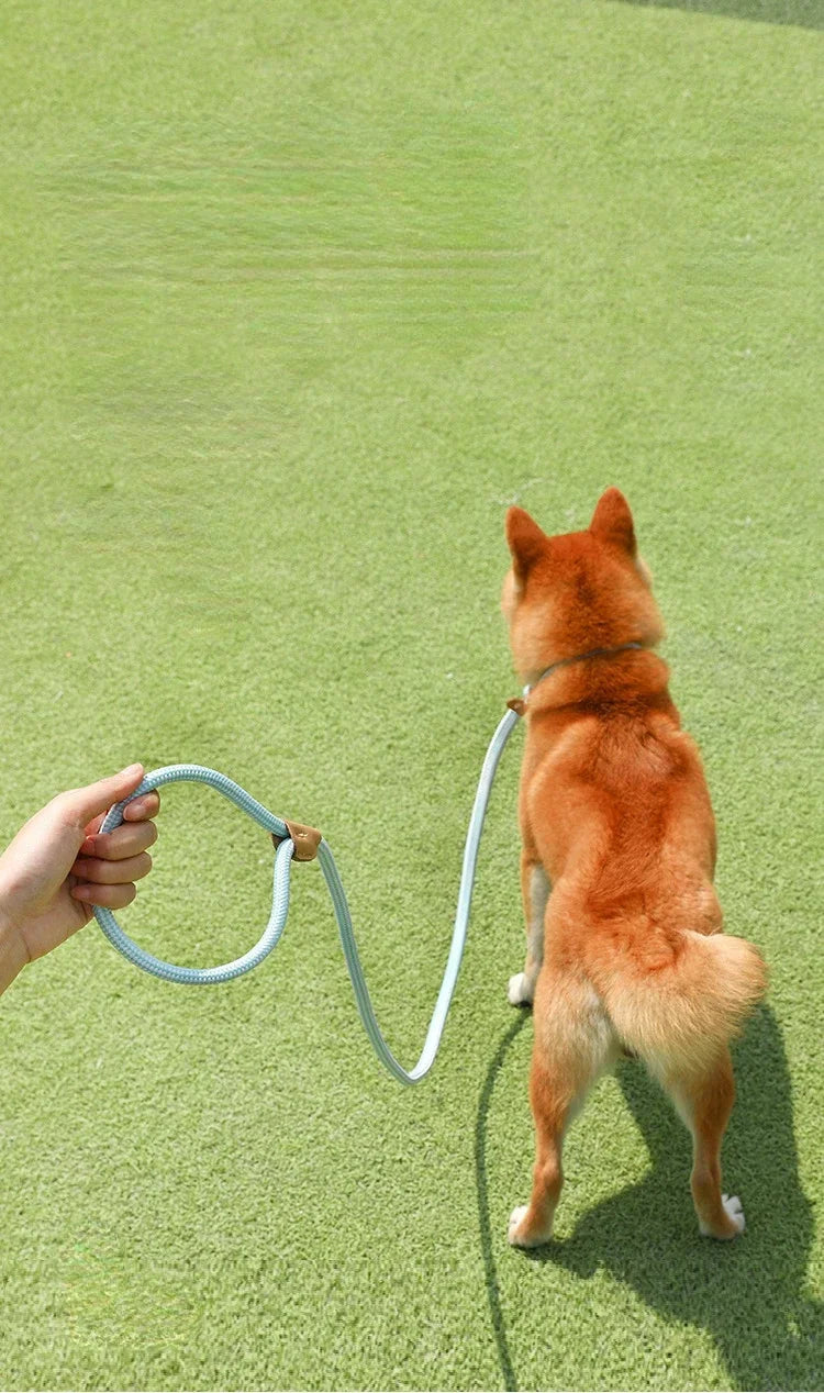 Adjustable Collar Harness Dog Leash Nylon Pet Lead Leash Dog Harness Durable Rope Belt Lightweight Dog Accessories Cat Collar