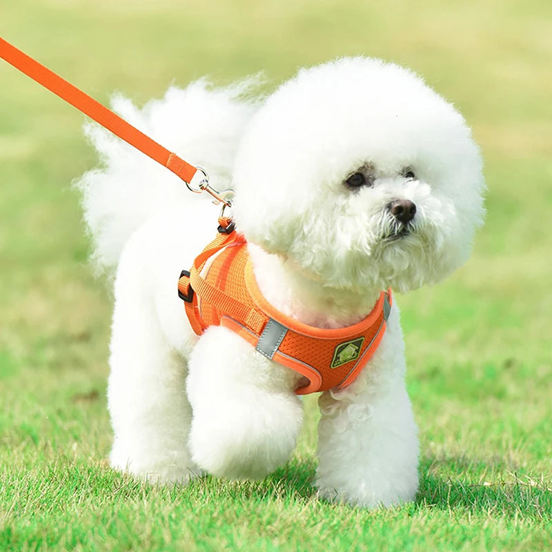 Dog Harness Small Breed Harness for A Small Dog Large Dog Harness Harnait Chest GXQ03