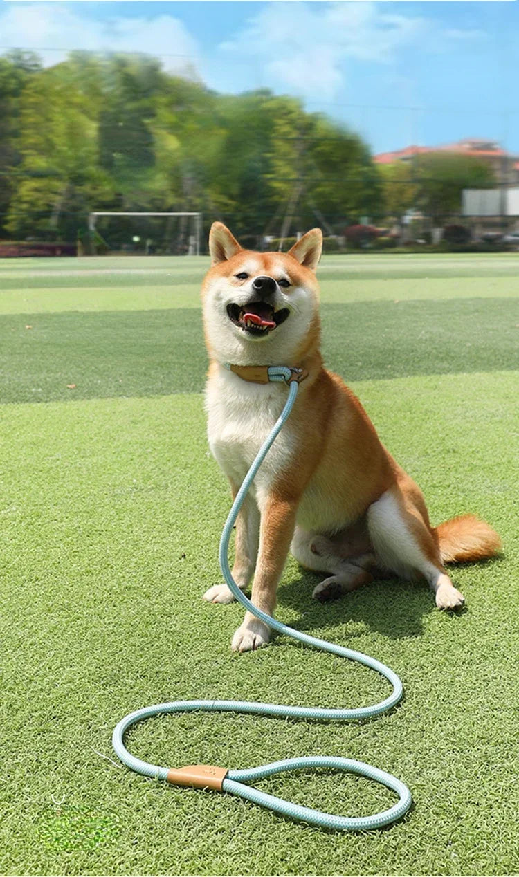 Adjustable Collar Harness Dog Leash Nylon Pet Lead Leash Dog Harness Durable Rope Belt Lightweight Dog Accessories Cat Collar
