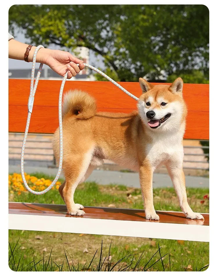 Adjustable Collar Harness Dog Leash Nylon Pet Lead Leash Dog Harness Durable Rope Belt Lightweight Dog Accessories Cat Collar