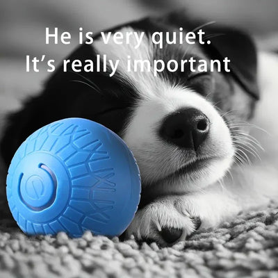 Biting Toys