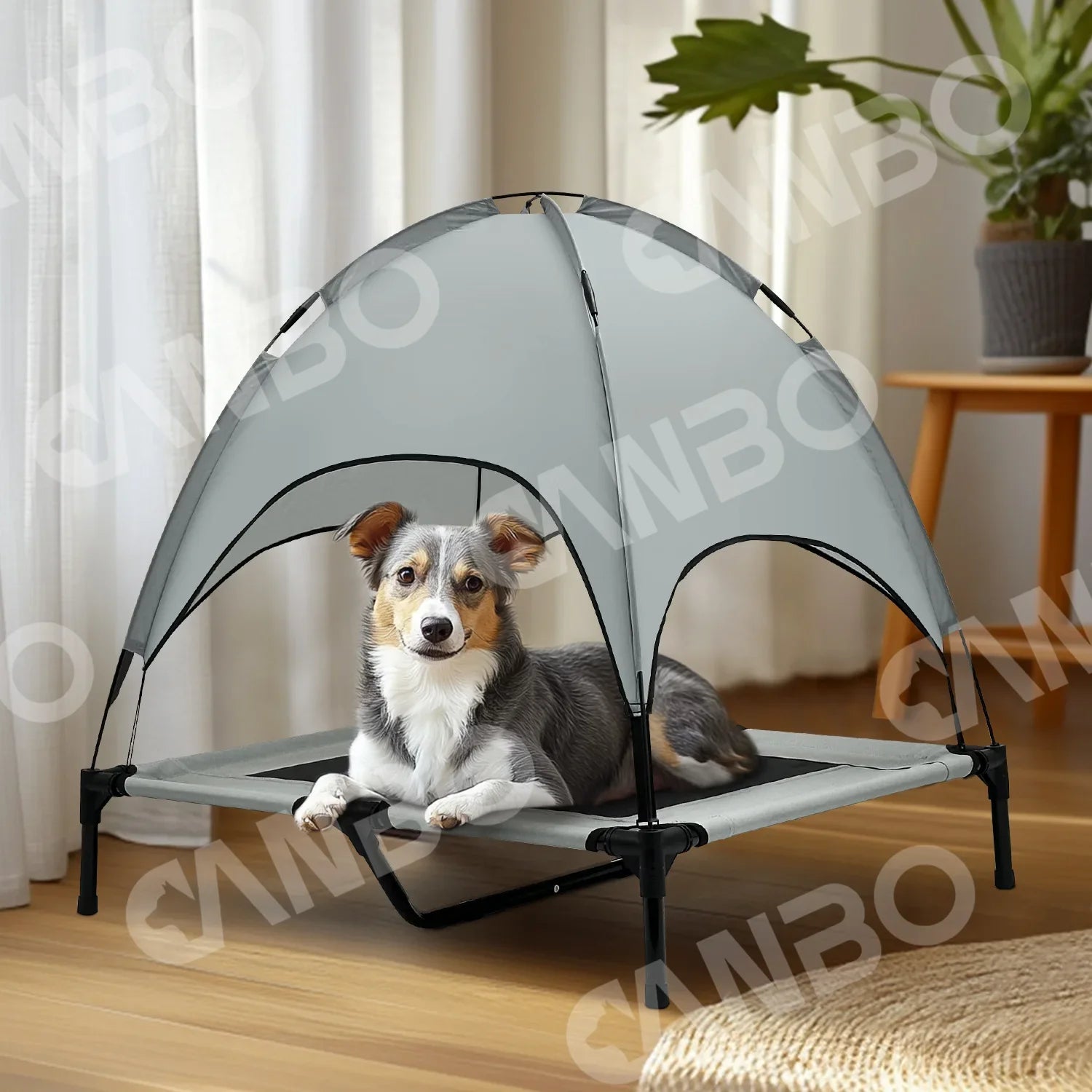 Dog House Indoor