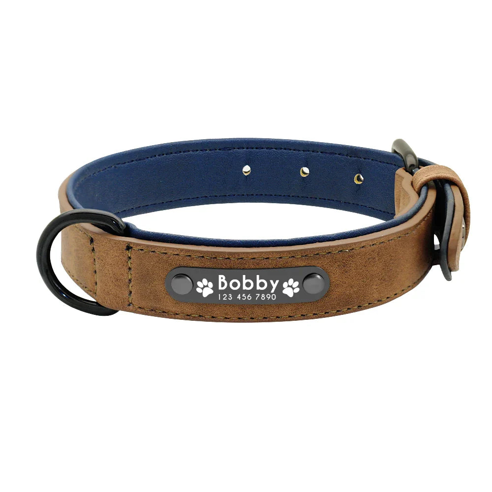 Dog collars