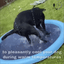 100-200cm Pet Sprinkler Pad Play Cooling Mat Swimming Pool Inflatable Water Spray Pad Mat Tub Summer Cool Dog Bathtub for Dogs
