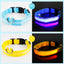 LED Glowing Dog Collar Adjustable Flashing Rechargea Luminous Collar Night Anti-Lost Dog Light HarnessFor Small Dog Pet Products
