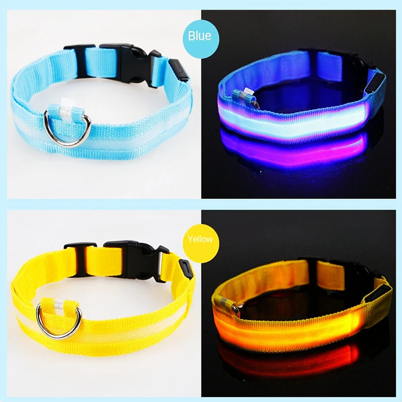 LED Glowing Dog Collar Adjustable Flashing Rechargea Luminous Collar Night Anti-Lost Dog Light HarnessFor Small Dog Pet Products