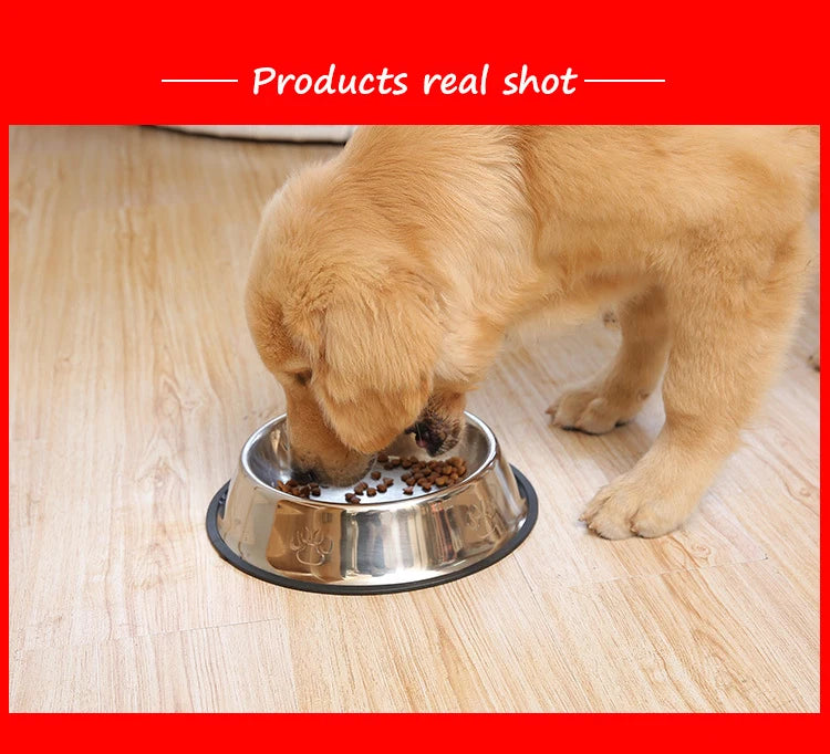 Stainless Steel Pet Bowls for Dogs and Cats - 6 Sizes (XS to XXL) - Feeding and Water Dishes