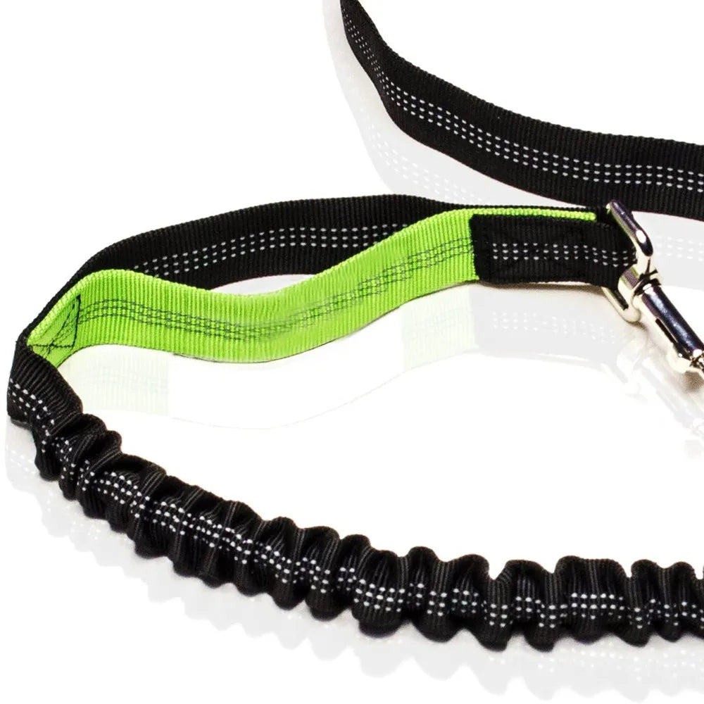 Retractable Dog Leash with Adjustable Waist Rope Hand Free Running Jogging Cycling Big Dogs Pet Elasticity Lead Pet Supplies