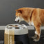 Stainless Steel Raised Dog Bowl - Anti-Knock Elevated Feeder