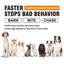Pet Dog Repeller Rechargeable Ultrasonic Dog Training Tool Anti Bark Deterrent Device Stop-Barking Trainer with LED Flashlight