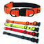 LED Glowing Dog Collar Adjustable Flashing Rechargea Luminous Collar Night Anti-Lost Dog Light HarnessFor Small Dog Pet Products