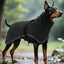 Large Dog Pet Windbreaker Dog Raincoat Pet Stormcoat Waterproof Outdoor Pet Outdoor Waterproof Clothes Pets Raincoat Accessories