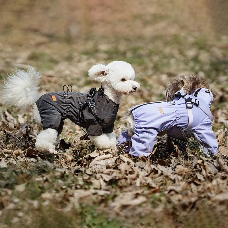 Dog Raincoat With Harness Waterproof Jacket for Small Dogs Adjustable Reflective Dog Rain Overalls Four legged raincoat Pet Rain