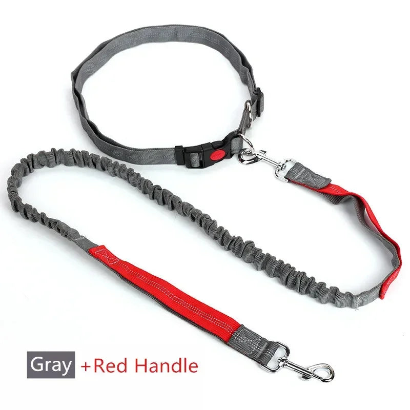 Retractable Dog Leash with Adjustable Waist Rope Hand Free Running Jogging Cycling Big Dogs Pet Elasticity Lead Pet Supplies