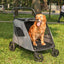 Pet Troller - Foldable , suit for elderly dog, disability assistance