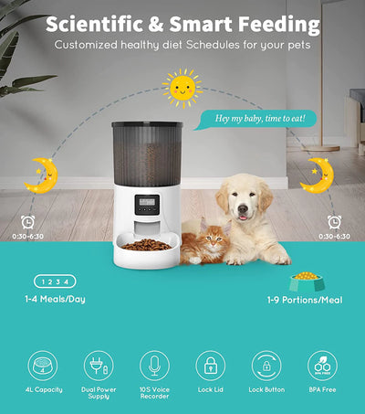 Wholesale 4L Automatic Cat Self Diet Feeder Dog Feeder Smart Stainless Steel Double Bowl Cat Feeder