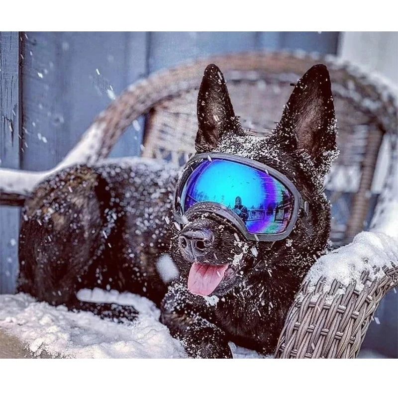 Dog Goggles Adjustable Pet Glasses Dog Sunglasses for Small Medium Large Dogs Puppy Skiing Ourdoor Eyes Protection Pet Supplies