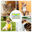 Water Sensory Playmat for Pet cat dog Play Water Sensory Playmat Cool summer Kittens Puppies Cooling Bed Mats