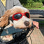 Foldable Pet Glasses Dog Goggles Fashion Sunglasses Summer Windproof Sunscreen Dogs Puppy Accessories Pet Supplies