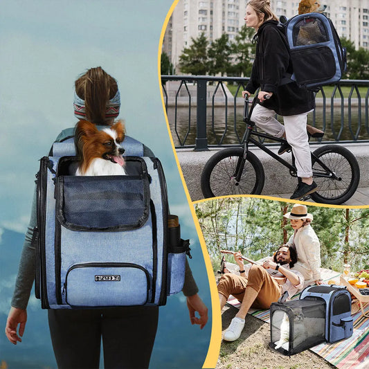 Expandable Foldable Pet Backpack - Ideal for Small Dogs and Cats, Spacious and Convenient with Zipper Closure
