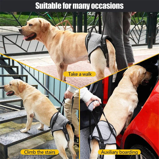 Dog Lift Harness  - Soft Padded Support for Rear Legs