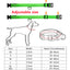LED Glowing Dog Collar Adjustable Flashing Rechargea Luminous Collar Night Anti-Lost Dog Light HarnessFor Small Dog Pet Products