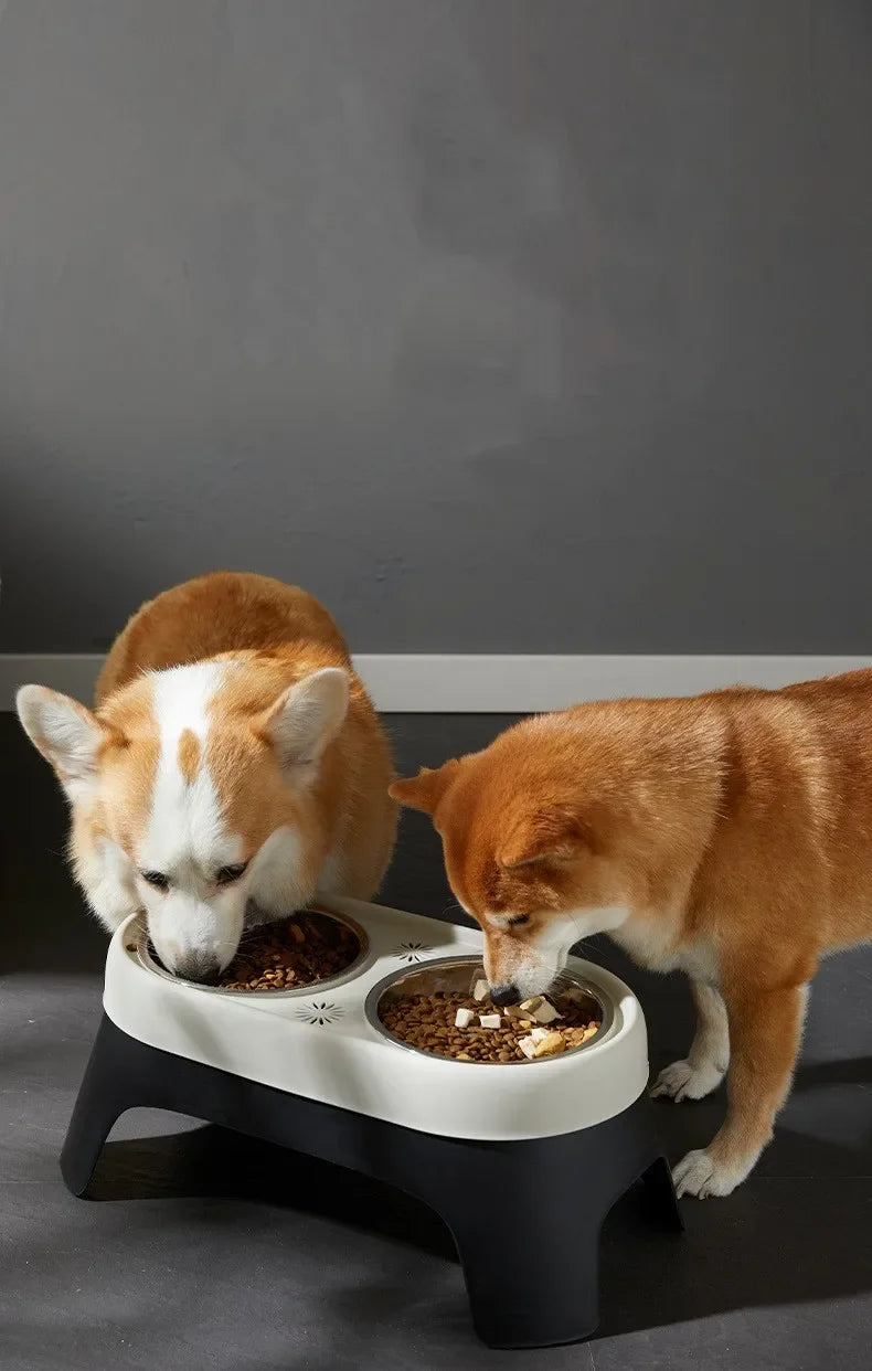 Stainless Steel Raised Dog Bowl - Anti-Knock Elevated Feeder