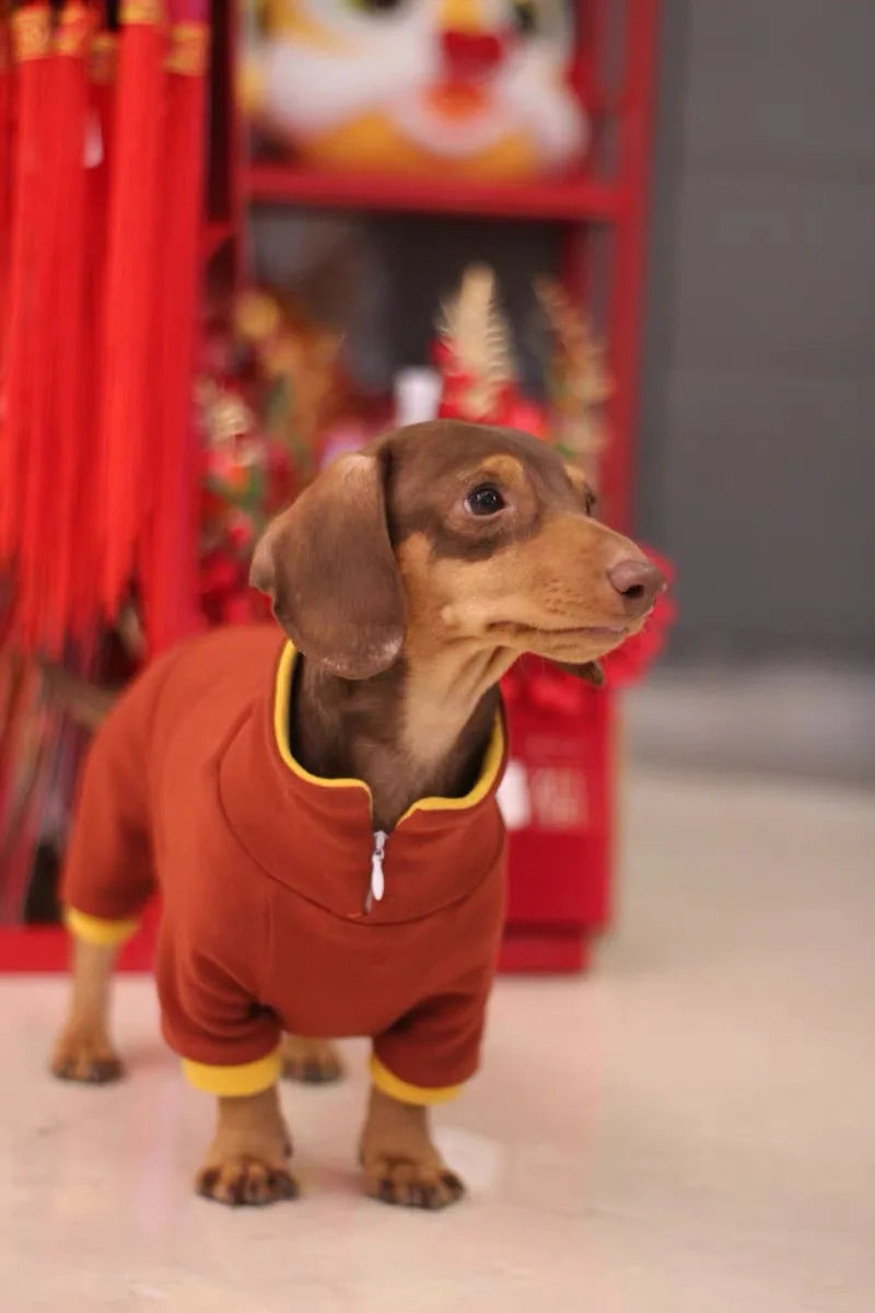 Fashion Red Dachshund Clothes Stretch Spring Winter Soft Sausage Dog Four-legged Pajamas Comfortable Autumn Badger Dog Clothes