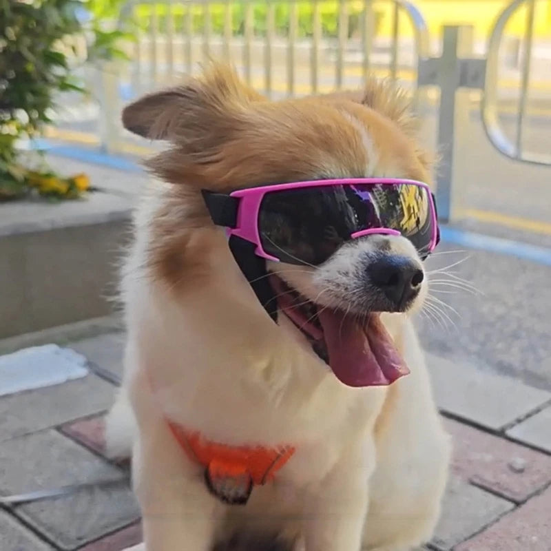 Dog Summer Sunglasses Soft Windproof Anti-UV with Adjustable Strap for Outdoor Sports Goggles for Heavy Snow Dropshipping