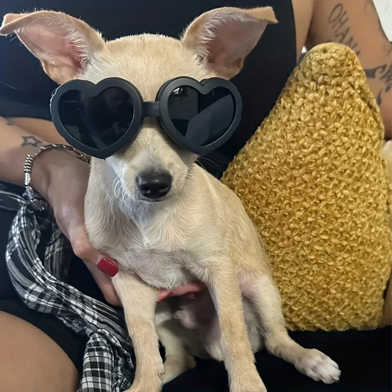 1pc Pet Glasses, Dog Supplies, Goggles, Sun Protection, UV Protection, Dog Sunglasses, Cat Sunglasses