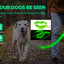 LED Glowing Dog Collar Adjustable Flashing Rechargea Luminous Collar Night Anti-Lost Dog Light HarnessFor Small Dog Pet Products