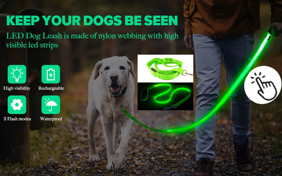 LED Glowing Dog Collar Adjustable Flashing Rechargea Luminous Collar Night Anti-Lost Dog Light HarnessFor Small Dog Pet Products