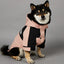 Small Dog Raincoat Clothes for Small Big Dogs Wind Coat Windbreaker French Bulldog Hoodie Octdoor Raincoats Dog Costume Coat