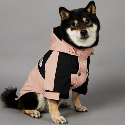 Small Dog Raincoat Clothes for Small Big Dogs Wind Coat Windbreaker French Bulldog Hoodie Octdoor Raincoats Dog Costume Coat