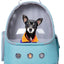 Small Dog Backpack with Clear Bubble Space Capsule