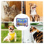 Water Sensory Playmat for Pet cat dog Play Water Sensory Playmat Cool summer Kittens Puppies Cooling Bed Mats