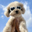 1pc Pet Glasses, Dog Supplies, Goggles, Sun Protection, UV Protection, Dog Sunglasses, Cat Sunglasses