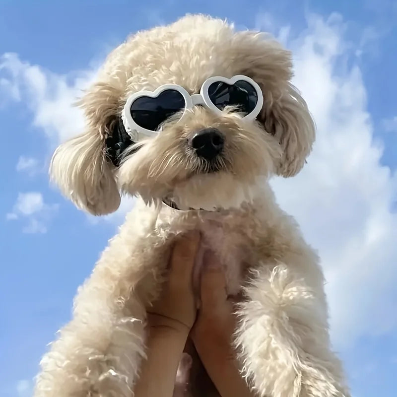 1pc Pet Glasses, Dog Supplies, Goggles, Sun Protection, UV Protection, Dog Sunglasses, Cat Sunglasses