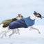 Dog Winter Apparel Furry Vest Indoor Outdoor Use Clothes Sweatshirt Outfit Winter Apparel Walking Camping