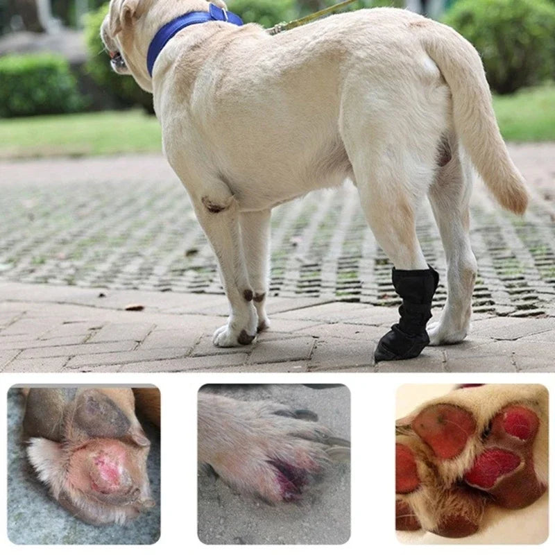 Dog Wound Recovery Boot Paws Protector Waterproof Dog Shoe for Post Surgical Recovery Healing Protections
